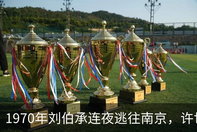 1970年刘伯承连夜逃往南京，许世友一个电话，揭开了三十年前的生死交情